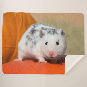 Cobertor Sherpa Animal de estimação engraçado manchado do hamst