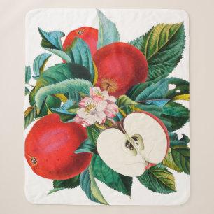 Cobertor Sherpa Arranjo de fruta de maçã botânica, antigo t