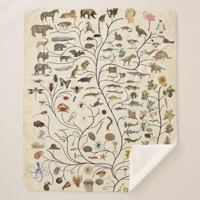 Cobertor Sherpa Árvore da Vida (Frente)