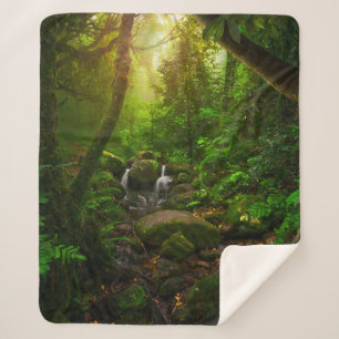 Cobertor Sherpa Asian tropical rainforestjungle,ground,amazon,asia