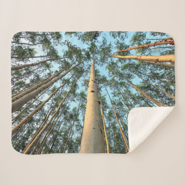 Cobertor Sherpa Aspen Trunfos E Folhas, Yukon (Frente (Horizontal))