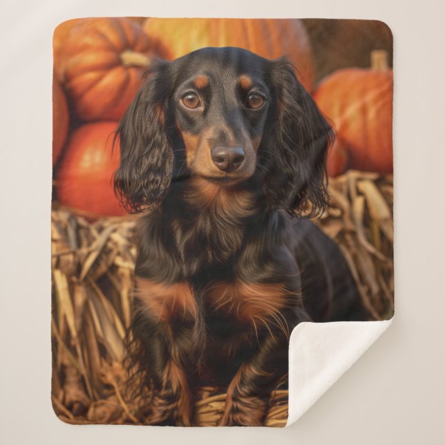 Cobertor Sherpa Autumn Dachshund (Frente)