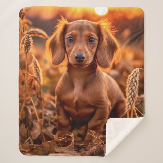 Cobertor Sherpa Autumn Dachshund Pup (Frente)