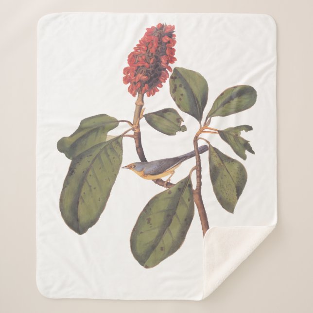 Cobertor Sherpa Ave de Flycatcher Audubon Bonaparte (Frente)