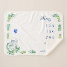 Baby Boy Milestone Sherpa Blanket Semanal