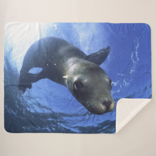 COBERTOR SHERPA BABY SEAL