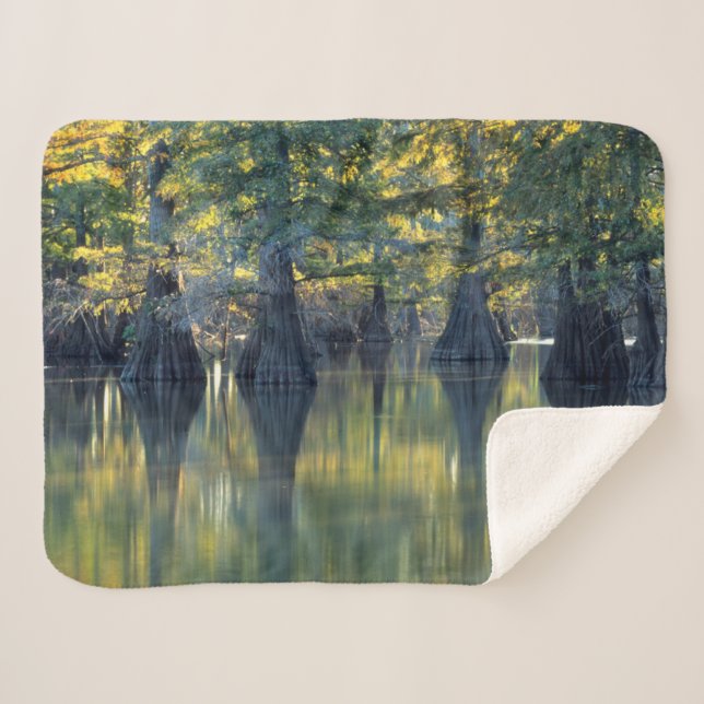 Cobertor Sherpa Bald Cypress Trees | Horseshoe Lake Illinois (Frente (Horizontal))