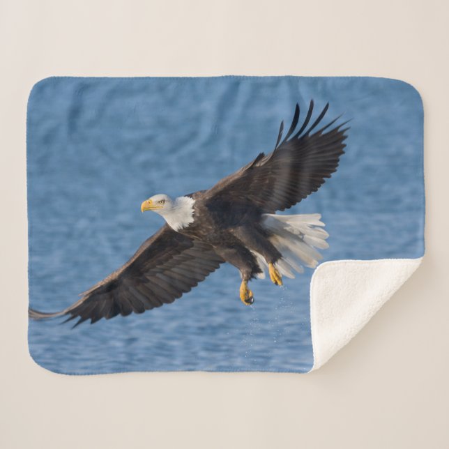 Cobertor Sherpa Bald eagle in flight (Frente (Horizontal))