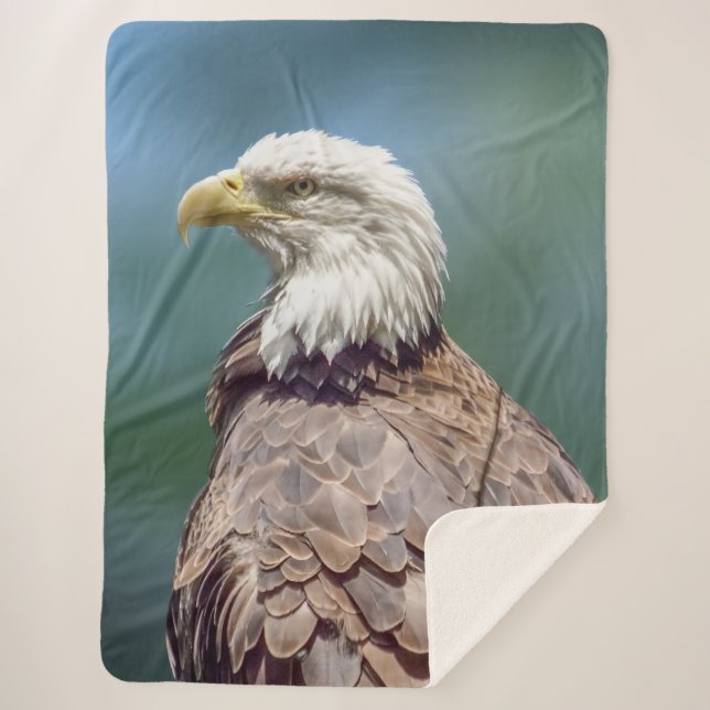 Cobertor Sherpa Bald Eagle Sherpa Fleece Blanket (Frente)
