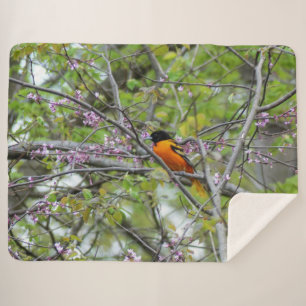 Cobertor Sherpa Baltimore Oriole