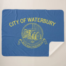 Bandeira da Cidade de Waterbury (Connecticut)