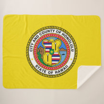 Bandeira de Honolulu (Havaí)