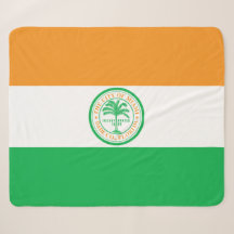 Bandeira de Miami (Flórida)