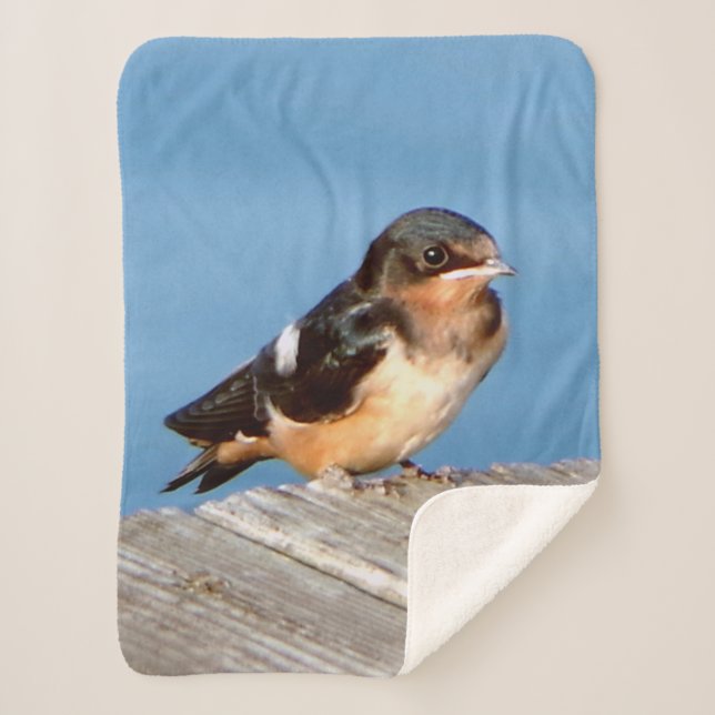 Cobertor Sherpa Banheira de Sherpa do Barn Swallow (Frente)