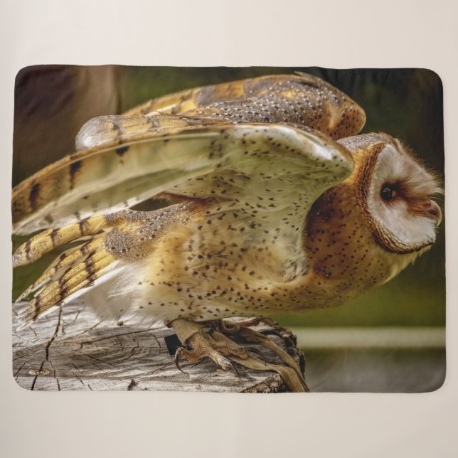 COBERTOR SHERPA BARN OWL (Frente (Horizontal))