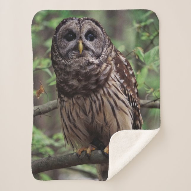 Cobertor Sherpa Barred Owl (Frente)