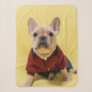 Cobertor Sherpa Bebês Mais Pobres Buldogue francês vestido