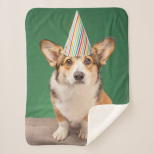 Cobertor Sherpa Bebês Mais Pobres   Corgi Birthday Puppy
