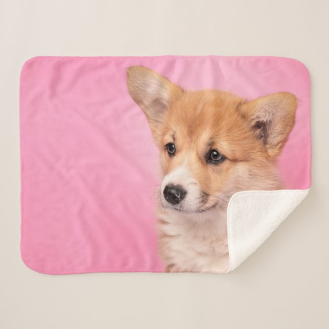 Cobertor Sherpa Bebês Mais Pobres | Corgi Puppy a rosa (Frente (Horizontal))