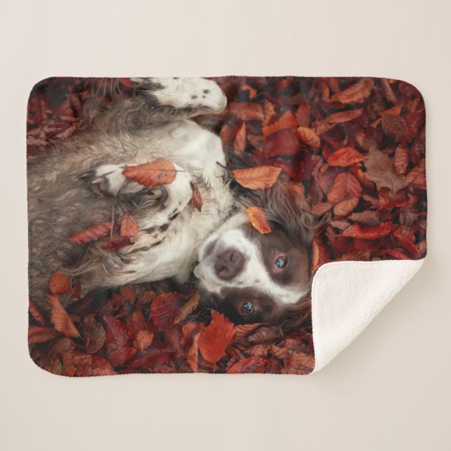 Cobertor Sherpa Bebês Mais Pobres | Espanhol nas Folhas de outono (Frente (Horizontal))