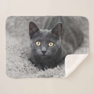Cobertor Sherpa Bebês Mais Pobres Gato Cinza