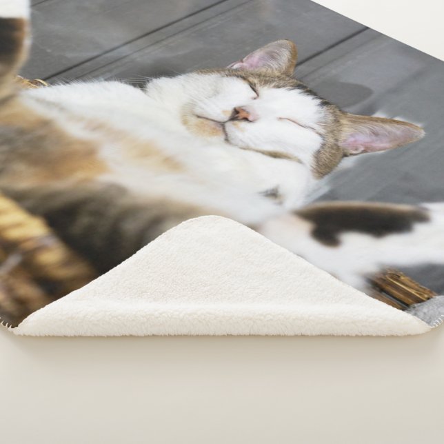 Cama de gato para bebês: como fazer em casa