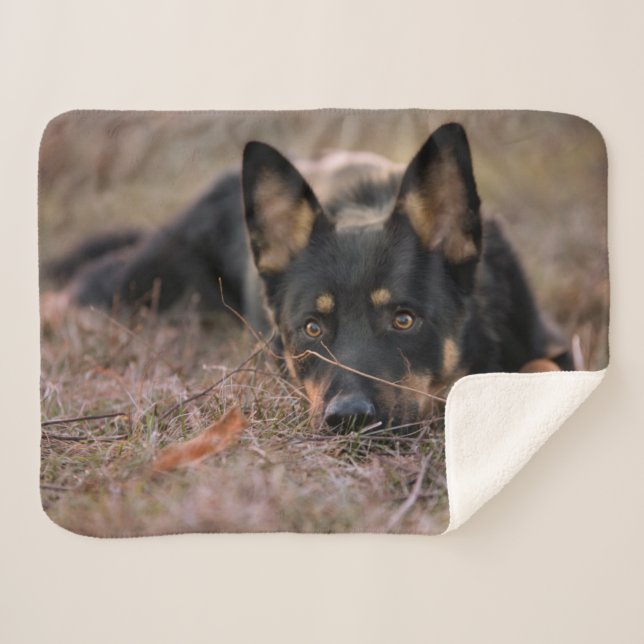 Cobertor Sherpa Bebês Mais Pobres | GERMAN SHEPHERD (Frente (Horizontal))