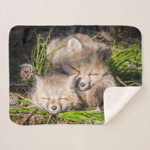 Cobertor Sherpa Bebês Mais Pobres Kits De Raposa Vermelha Para B