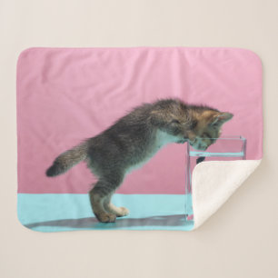 Cobertor Sherpa Bebês Mais Pobres Kitten Olhando para Fish Bowl