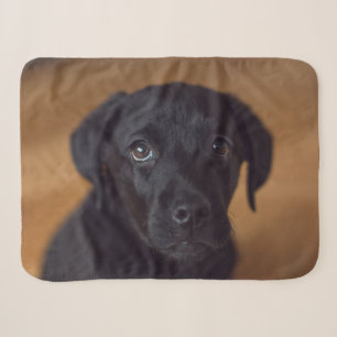 Cobertor Sherpa Bebês Mais Pobres Labrador Preto