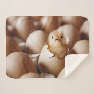 Cobertor Sherpa Bebês Mais Pobres   Novo Pintinho