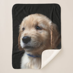 Cobertor Sherpa Bebês Mais Pobres   Ouro Retriever Puppy