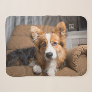 Cobertor Sherpa Bebês Mais Pobres Torneiras de Corgi de Cabelo L