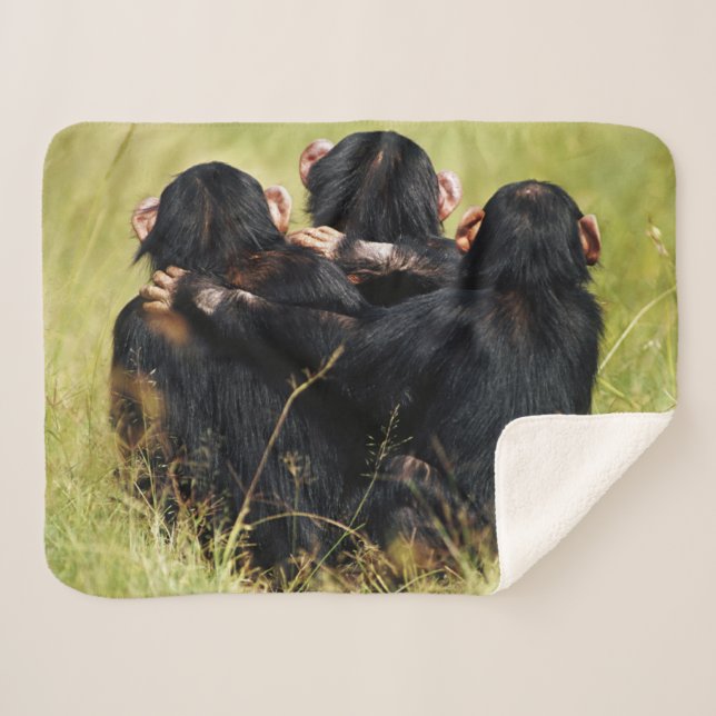 Cobertor Sherpa Bebês Mais Pobres | Três Chimpanzés (Frente (Horizontal))