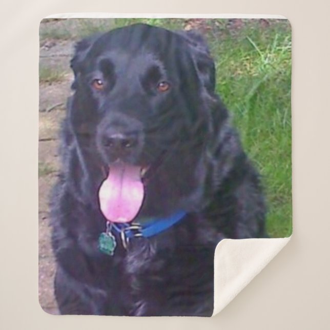 Cobertor Sherpa Belo Dia (Frente)