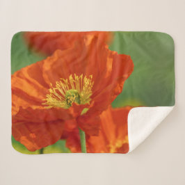 Cobertor Sherpa Belo papa vermelho