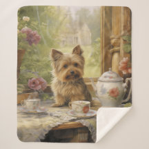 Belo Yorkie