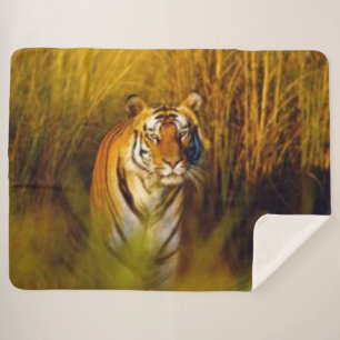COBERTOR SHERPA BENGAL TIGER