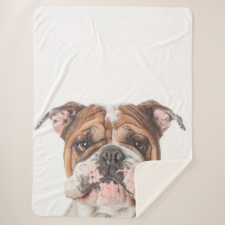 Cobertor Sherpa Bonito Bulldog Inglês Bulldog Gift