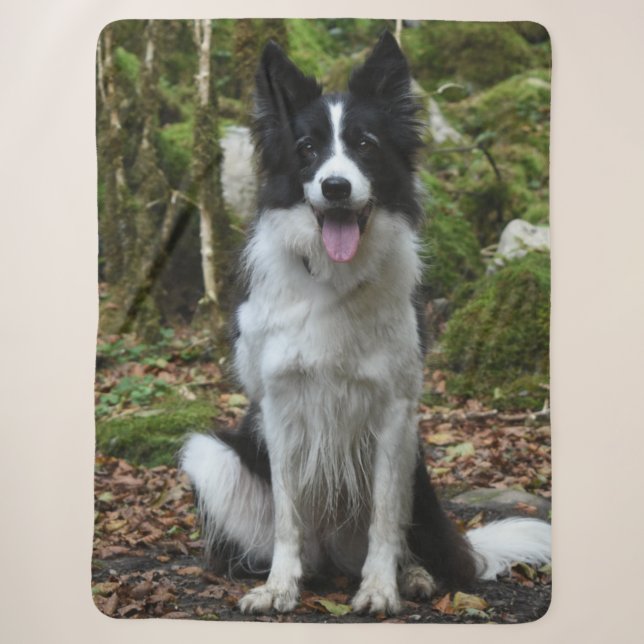 COBERTOR SHERPA BORDER COLLIE (Frente)