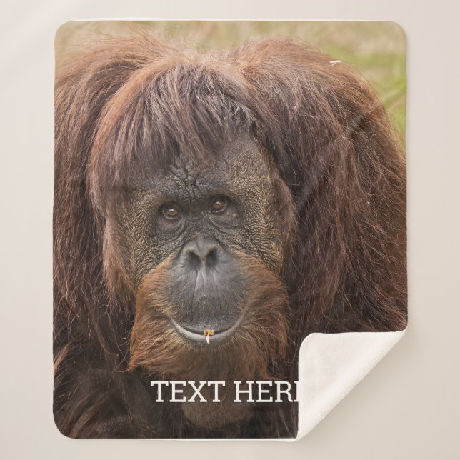 Cobertor Sherpa Borneo Orangutan - Bela Fotografia (Frente)