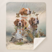 Brittany Spaniel, Paixão por Aves