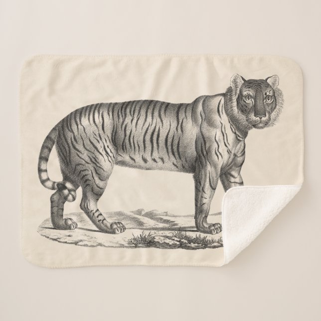 Cobertor Sherpa Brodtmann Tiger Sketch (Frente (Horizontal))