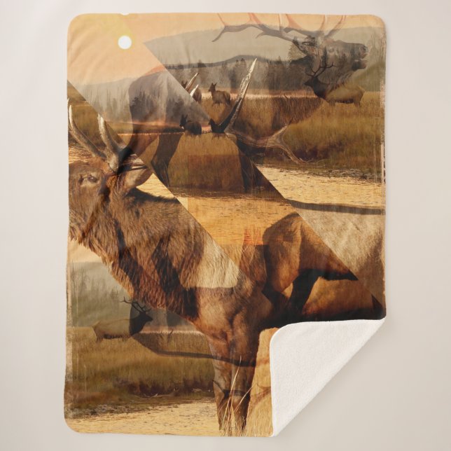 Cobertor Sherpa Bull Elk Sunrise Collage (Frente)