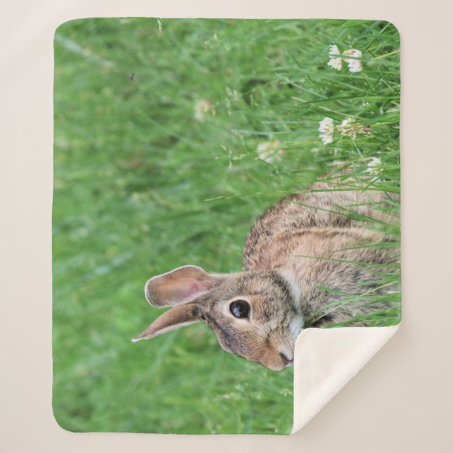 Cobertor Sherpa Bunny (Frente)