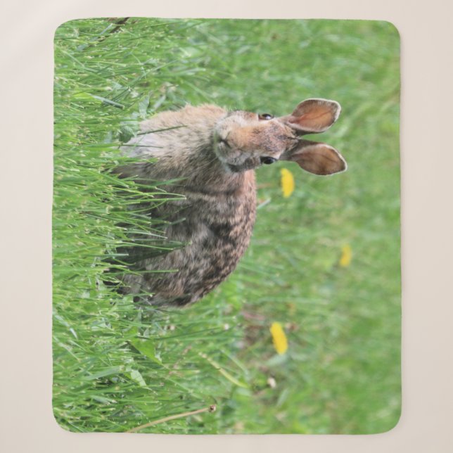 Cobertor Sherpa Bunny (Frente)