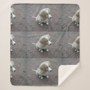 Cobertor Sherpa cachorro filhote da Nova Scotia Duck Tolling Retri