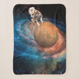 Cobertor Sherpa Cachorro Galáxico Sherpa Blanket - Galáxia de Tari