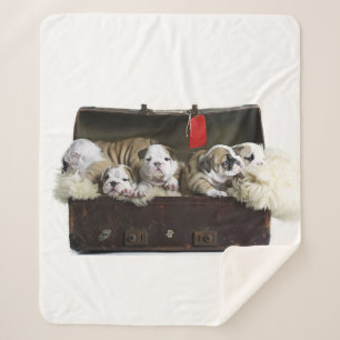 Cobertor Sherpa Cachorros-De-Balão Na Mala Do Cachorro