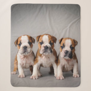 Cobertor Sherpa Cachorros de Bulldog Presente De Adolescentes De